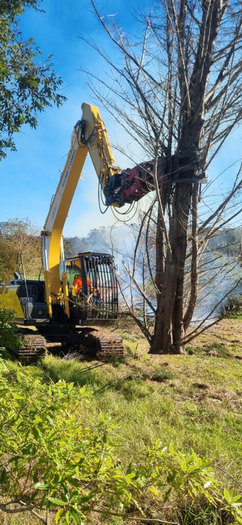 Tree removal on a rural property