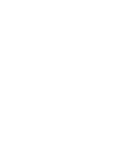 Top Tree Services