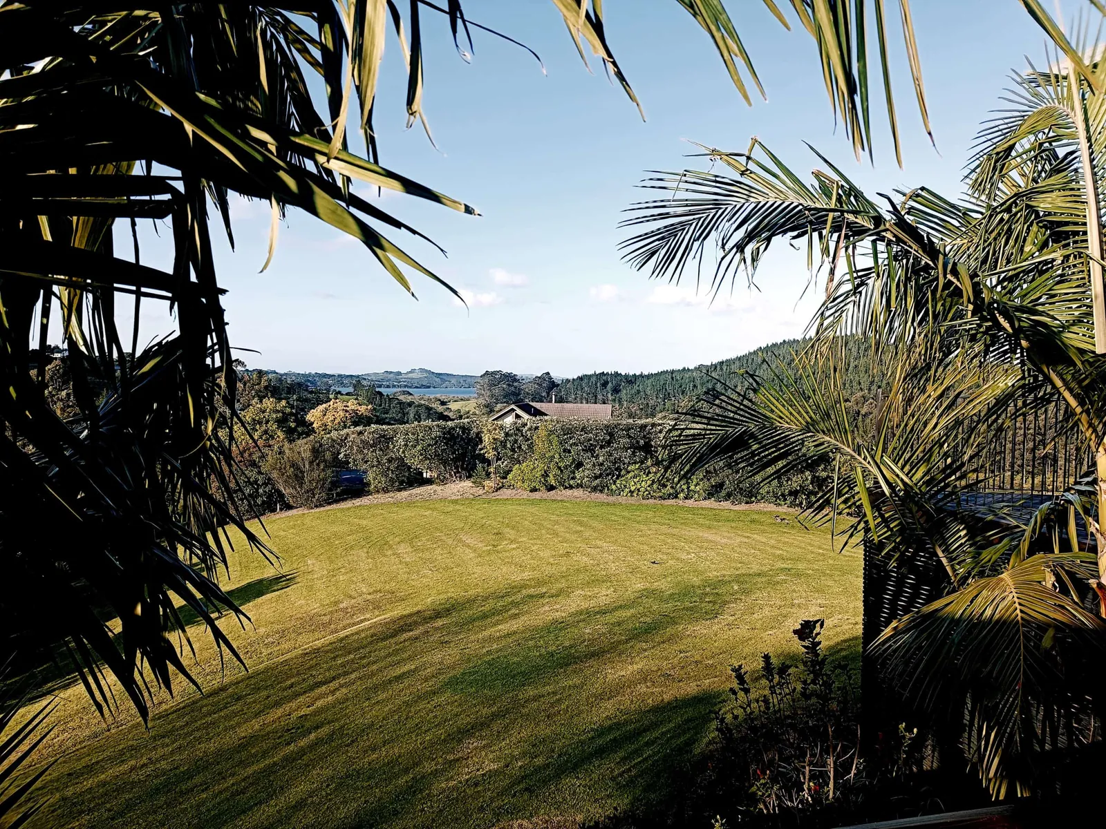 Tree trimming to restore view in Kerikeri