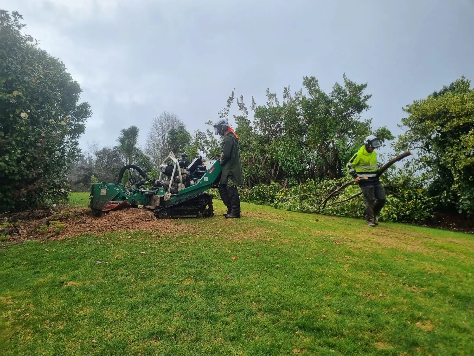 Tracked stump grinder working on a tree stump