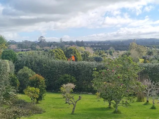 Large hedge trimming