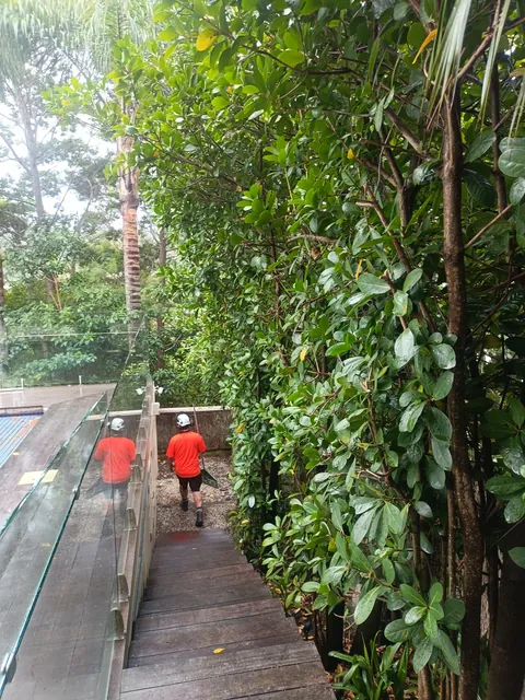 General trimming and maintenance in Russell