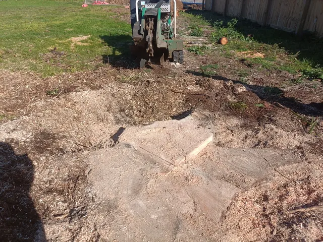 Stump grinding in Kaikohe
